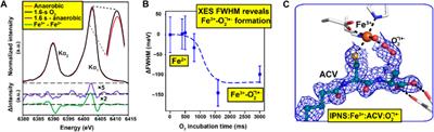 Perspective: Structure determination of protein-ligand complexes at room temperature using X-ray diffraction approaches